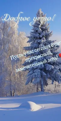 Доброе Зимние Утро❄️С Добрым Утром и Хорошего Дня☃️Музыкальная Открытка с  Пожеланием Доброго Утра❄️ - YouTube