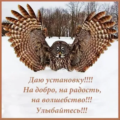 Тайм-Кофейня Тропики - Доброе утро. ⠀ РИСУЕМ КОФЕЙНУЮ СОВУ🦉☕⠀ ⠀ Кофе,  ммм-мм☕… ⠀ Как много в этом звуке — для каждого, кто не мыслит своё утро  без чашечки кофе! 💗⠀ ⠀ Приглашаю