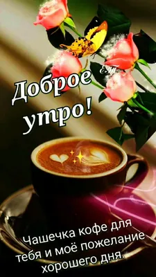 Pin by Светлана on Доброе утро | Good morning photos, Birthday greeting  message, Good morning funny