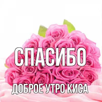 АЛАНА on X: "@Tatasazonova Доброе утро,Таточка! 😊 ❤️🌹 Спасибо большое!  Тебе тоже хорошего настроения для всех субботних дел!  /AsZkFSTtDV" / X