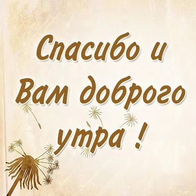 Картинки с надписью - Спасибо! Сердце доброе, большое, по всему видно, у  тебя..