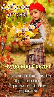 Доброе осеннее утро среды - новые оригинальные картинки (28 ФОТО) | Осень,  Субботы, Картинки