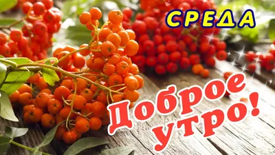 Отличной Вам Среды! в 2023 г | Среда, Доброе утро, Открытки