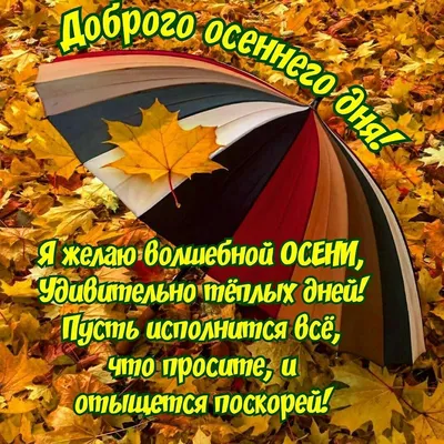 Доброе осеннее утро среды - новые оригинальные картинки (28 ФОТО) в 2023 г  | Осень, Утро воскресенья, Осенние картинки