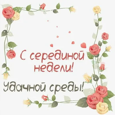 Среда ! | Смешные высказывания, Позитив, Мудрые цитаты