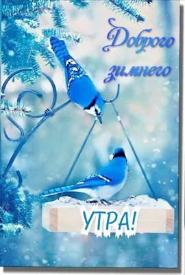 ❄️⛄😍 Картинки с добрым зимним утром - скачать (349 шт.)