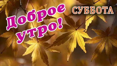 суббота #сентябрь #осень #доброеутро | TikTok