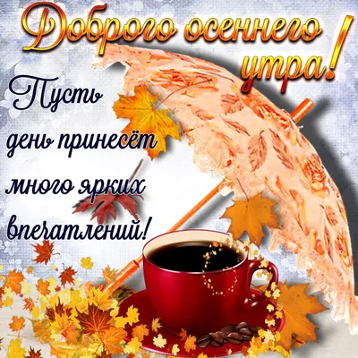 Доброе осеннее утро!🍁☕️ in 2023