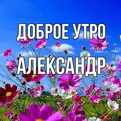 Прикольные картинки утро субботы (43 фото) » Юмор, позитив и много смешных  картинок