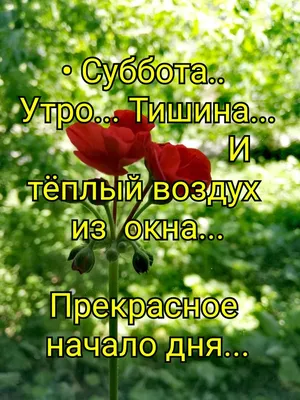 Картинки суббота доброе утро весна красивые с надписями (59 фото) »  Картинки и статусы про окружающий мир вокруг