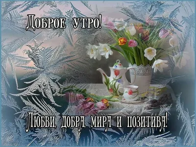 субботная декабрьские открытки Доброе утро｜Поиск в TikTok