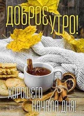 Доброго утра! Яркого света! Больше эмоций, улыбок, приветов, Удачи  побольше, побольше тепла. Доброго утра! Доб… | Morning greeting, Good  morning, Congratulations