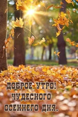 Открытки "Доброго утра сентября!" бесплатно (149 шт.)