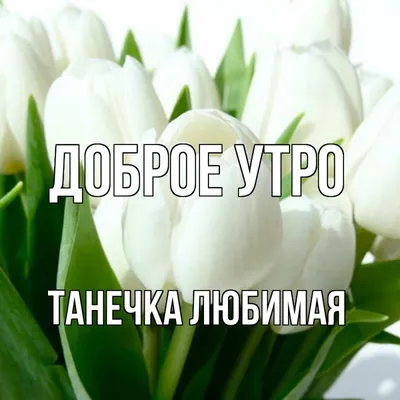 Таня, Танечка, Танюша, поздравляю я тебя.