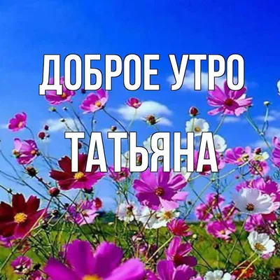 Доброе утро таня #16