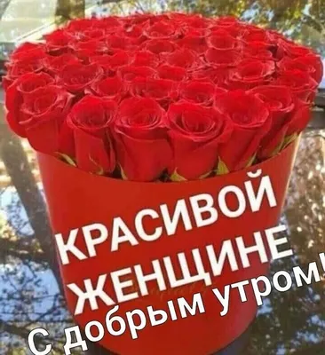 ValentinKa (@valja144)'s videos with оригинальный звук - Serge Serge |  TikTok