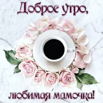 🌼ДОБРОЕ УТРО ЛЮБИМАЯ ТЁТЯ!🤗 - YouTube