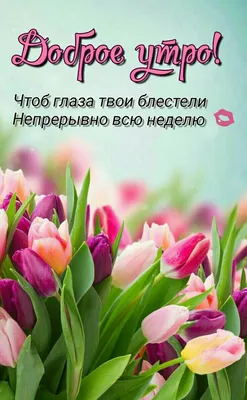 Доброе утро. Пожелание открытка с добрым утром. | Доброе утро, Открытки,  Тюльпаны