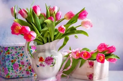 Заполированность формулирует доброе утро и букет тюльпанов Стоковое Фото -  изображение насчитывающей свеже, сообщение: 89883308