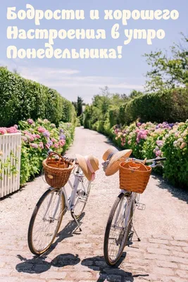 Gulmira - Доброе утро! 😍Удачного понедельника друзья! 🙌💥 @... | Facebook