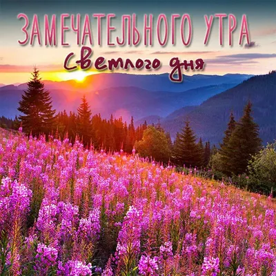 💗 Живая картинка на вацап (whatsApp) для парня, друга, коллеги, начальника  с пожеланием доброго утра! скачать бесплатно | мужчине | открытка, картинка  123ot