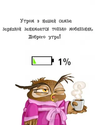 Пин от пользователя Светлана на доске Пятница | Доброе утро, Веселые  картинки, Смешные высказывания