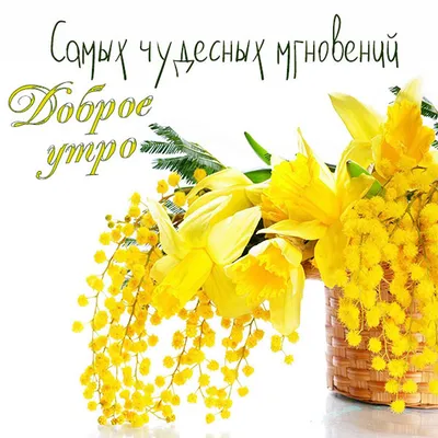 🌷НАТАЛИ🌷 on X: "@veskii4571 Доброе утро, моя Алиночка! 😊 Удачи и  хорошего настроения!💐 Пусть все задуманное получится!🍋  /rXGhgJ4QG8" / X