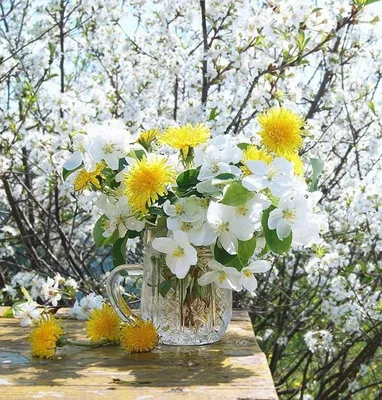 Весенние цветы и кофе - 29 фото