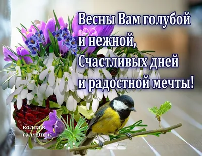 Доброе утречко. Понедельник вот и он. Дорогие друзья с добрым утром.  👌♥️👍🌺🌺🌺🌺 | Victoria_Versace | Дзен