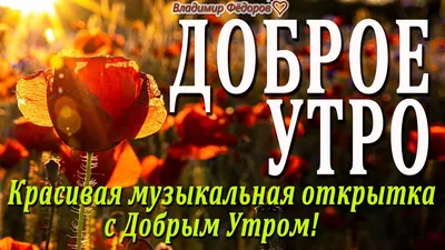 Открытка с именем Владимир Доброе утро картинки. Открытки на каждый день с  именами и пожеланиями.