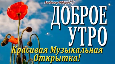 Кружка Шурмишур ""Доброе утро" Владимир", 310 мл, 1 шт - купить по  доступным ценам в интернет-магазине OZON (251493753)