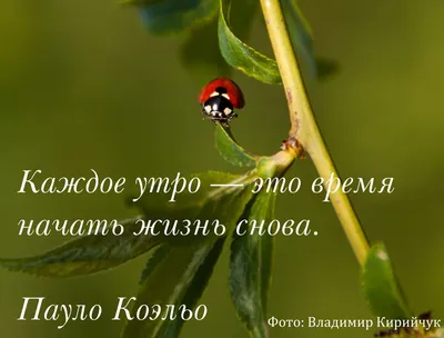 Трогательно до Слёз! С Добрым Утром! "Пусть Бог Перевернёт Страницу Жизни"!  Читает Владимир Фёдоров | Екклесиаст | Дзен