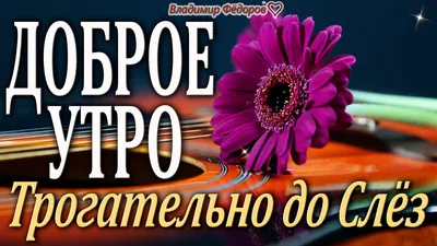 Доброе утро! в 2023 г | Доброе утро, Милые открытки, Диснейленд