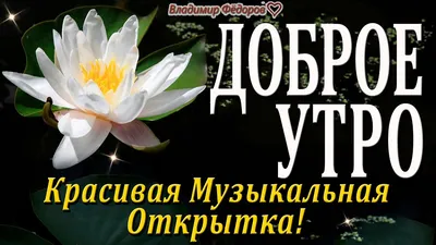 ღ✾⊱Всем, доброго утра!... ⊱✾ღ ~ Открытка (плейкаст)