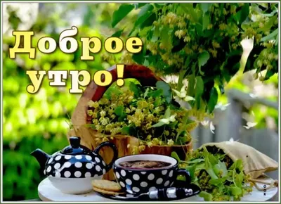 Доброе Утро! Всё Хорошо! Красивая Музыкальная Открытка с Добрым Утром!  (читает Владимир Фёдоров) - YouTube