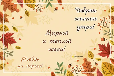 Владимир Анцыперович - Доброе утро, Город. Всем хорошего дня. Выходные дни  радуют. Прохладно правда... Сегодня 13 сентября, воскресенье Сейчас на  улице ясно, 10°C (7°C) Ветер южный, 3 м/с (до 7.7 м/с) Днем