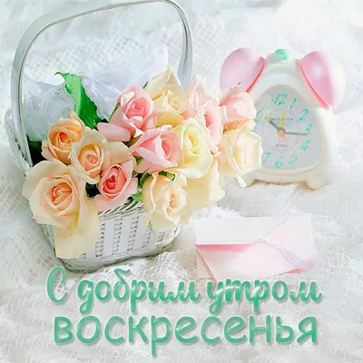 Чудесного Воскресенья!!!  🌼🍎🌼🍎🌼💖 в 2023 г | Доброе утро,  Воскресенье, Лето