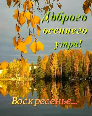 Доброе Утро Воскресение Сентябрь Осень | Новые картинки смешных чудиков в  2023 г | Доброе утро, Утро воскресенья, Воскресенье