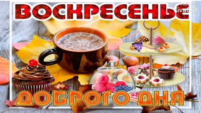 Александра — профиль пользователя в Шедевруме