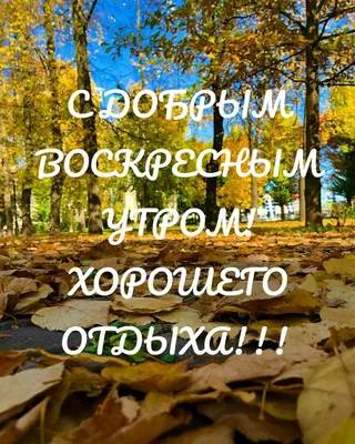 Доброе воскресное утро картинки и прикольные открытки