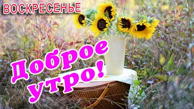 Открытка Доброе Утро Воскресенье Весна - Скачать Бесплатно