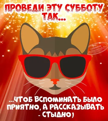 Доброе утро Воскресенье прикольные (38 новых фото) картинки смешные - АуФФ