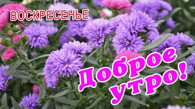 Открытки "Доброго утра!" в воскресенье (100+)