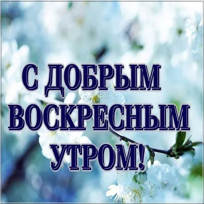 Доброе утро воскресенье - скачать красивую картинку