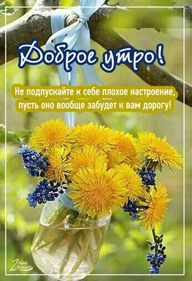 ДОБРОЕ УТРО! 🧡🦋🌼💐🏵🌿🌼🦋 ВСЕ БУДЕТ ХОРОШО! 🧡 | Доброе утро, Духовные  цитаты, Утренние цитаты