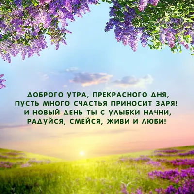 Доброе утро друзья ! 🌺🪻🌷 Всё будет…» — создано в Шедевруме