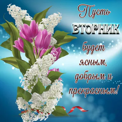 ВТОРНИК 🎺 ДОБРОГО УТРА / ДОБРОЕ УТРО / С ДОБРЫМ УТРОМ / ДОБРОГО УТРА  ЛЮБИМОЙ / ПОЗИТИВ / ПОЗИТИВЧИК - YouTube