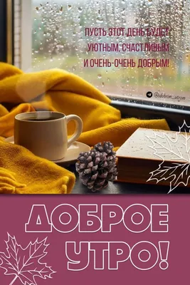 Идеи на тему «Доброе дождливое утро!» (190) в 2023 г | дождливое утро, доброе  утро, открытки