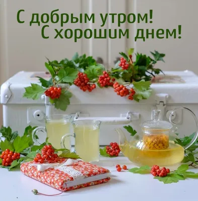 Корнилова Наталия Николаевна on Twitter: "Доброе утро, плодотворного дня,  здоровья и радости, дорогие друзья! /eLbcyUDPMN" / Twitter