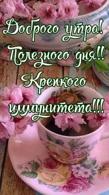 ○๑❤Красивый форум❤๑○• — Доброе Утро.., День.., Вечер! |  | Здоровое  питание, Доброе утро, Еда кафе